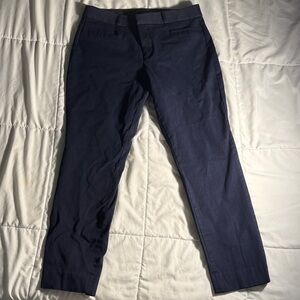 Banana Republic Blue Sloan Slacks
